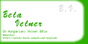 bela velner business card